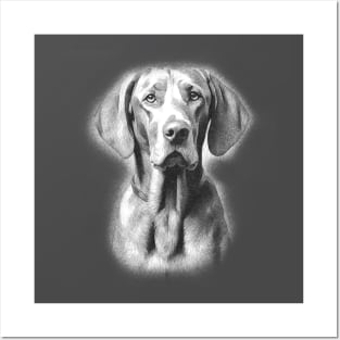 Weimaraner Dog Posters and Art